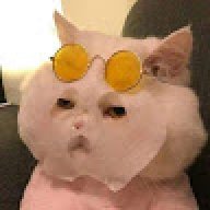 HoangN