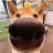zygardoge